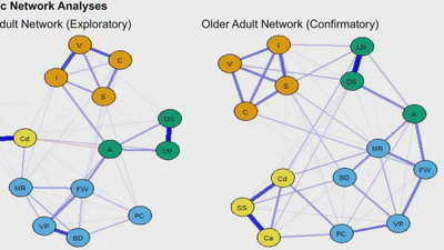 Age Differences Among Psychometric Models of Intelligence featured image