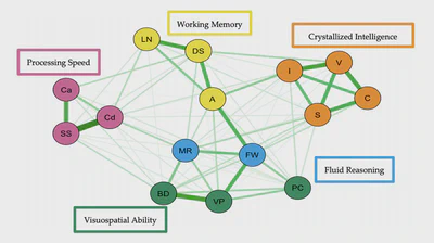 Psychometric Network Model of Intelligence featured image