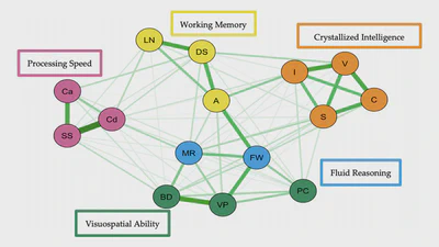 Psychometric Network Model of Intelligence featured image