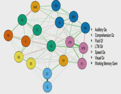Psychometric Network Model of Cognitive Ability featured image